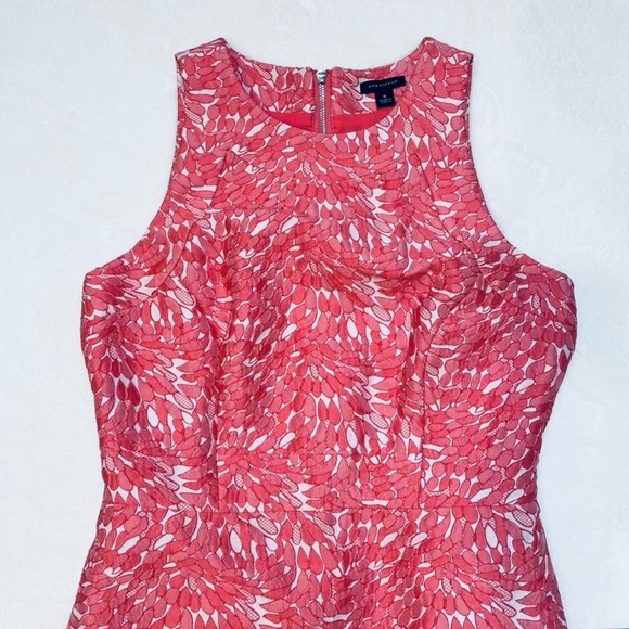 *Ann Taylor Sz 4 Sleeveless Apricot/Orange and White Lace Look Sheath Dress - Picture 3 of 12